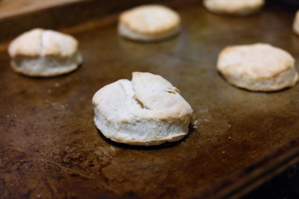 cooked-biscuits