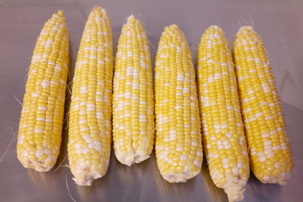 corn ears_1350x900