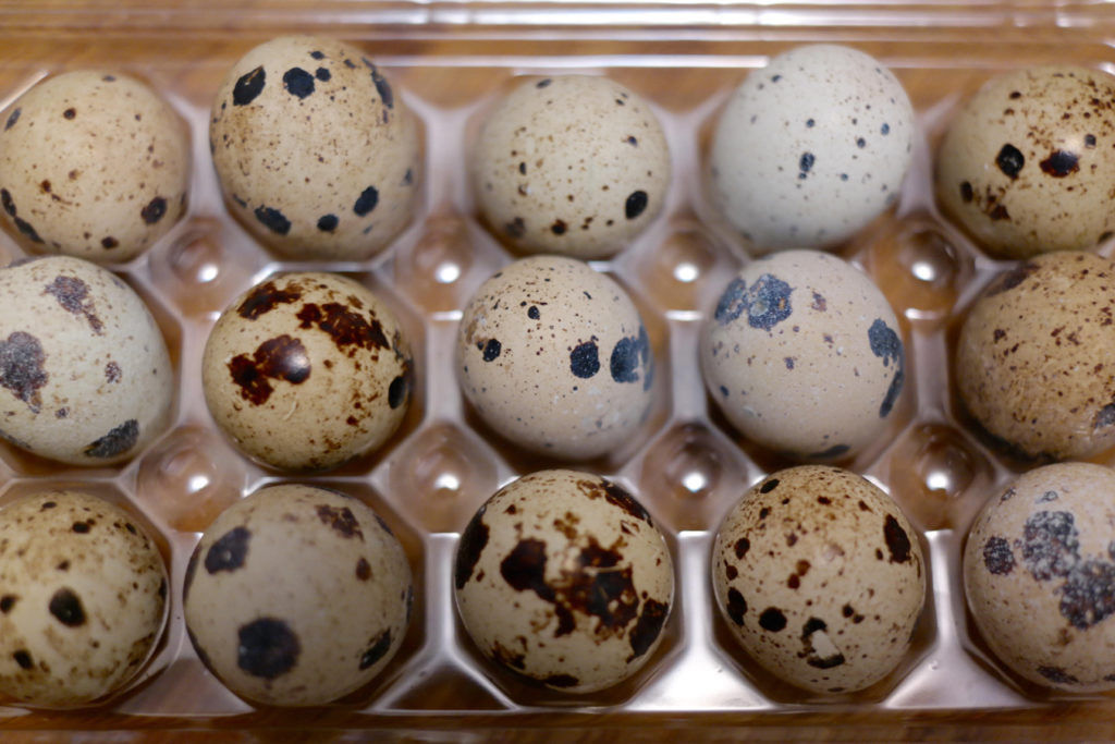 quail eggs_1350x900