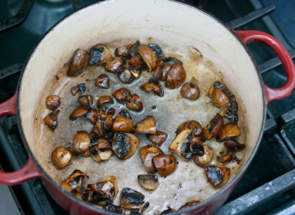 mushrooms_clean_1236x900